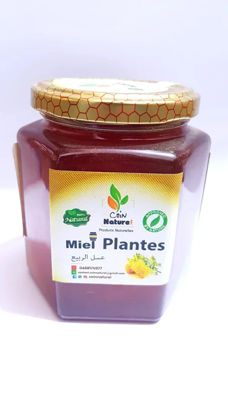 عسل الربيع 500غ