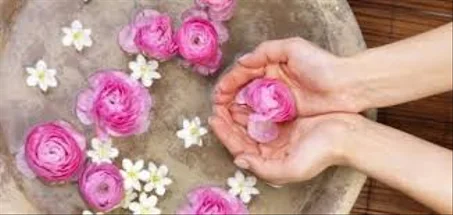 ماء الورد