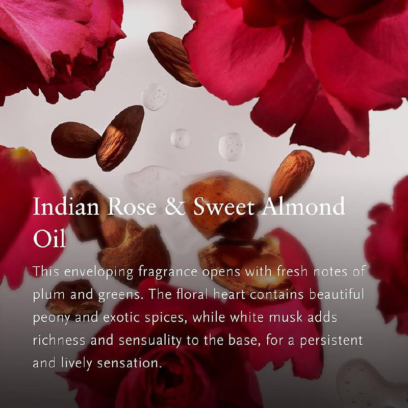 Le coffret Medium Bath & Body Gift Set – The Ritual of Ayurveda