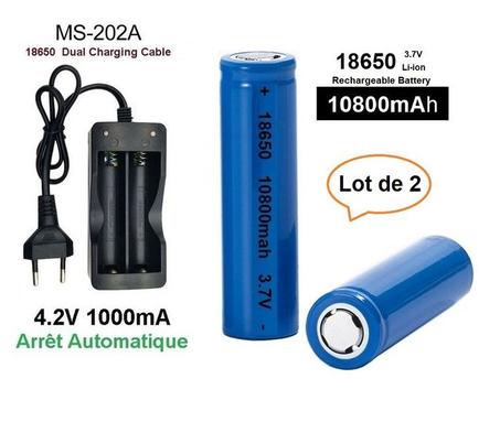 2 Piles Rechargeable 3.7V/18650/10800 mAh et Chargeur de pile Rechargeable à 2 Fentes