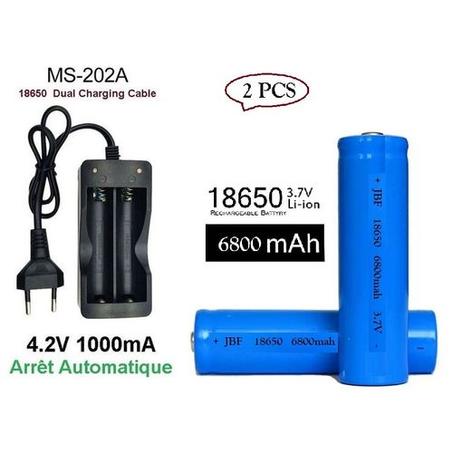 lot de 2 Piles Rechargeable 18650/3.7V/6800 mAh + Chargeur de Pile Rechargeable