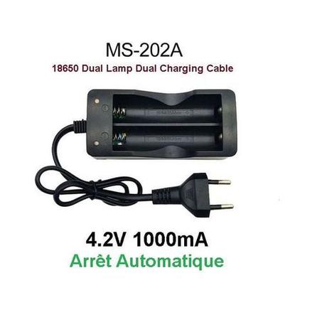 Chargeur de Pile Rechargeable 3.7V-4.2V-18650 - Avec 2 Fentes & 2 Témoins LED