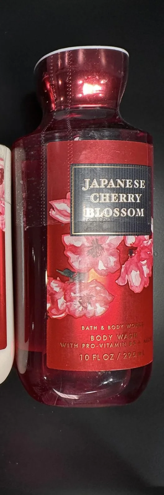 Japanese Cherry Blossom