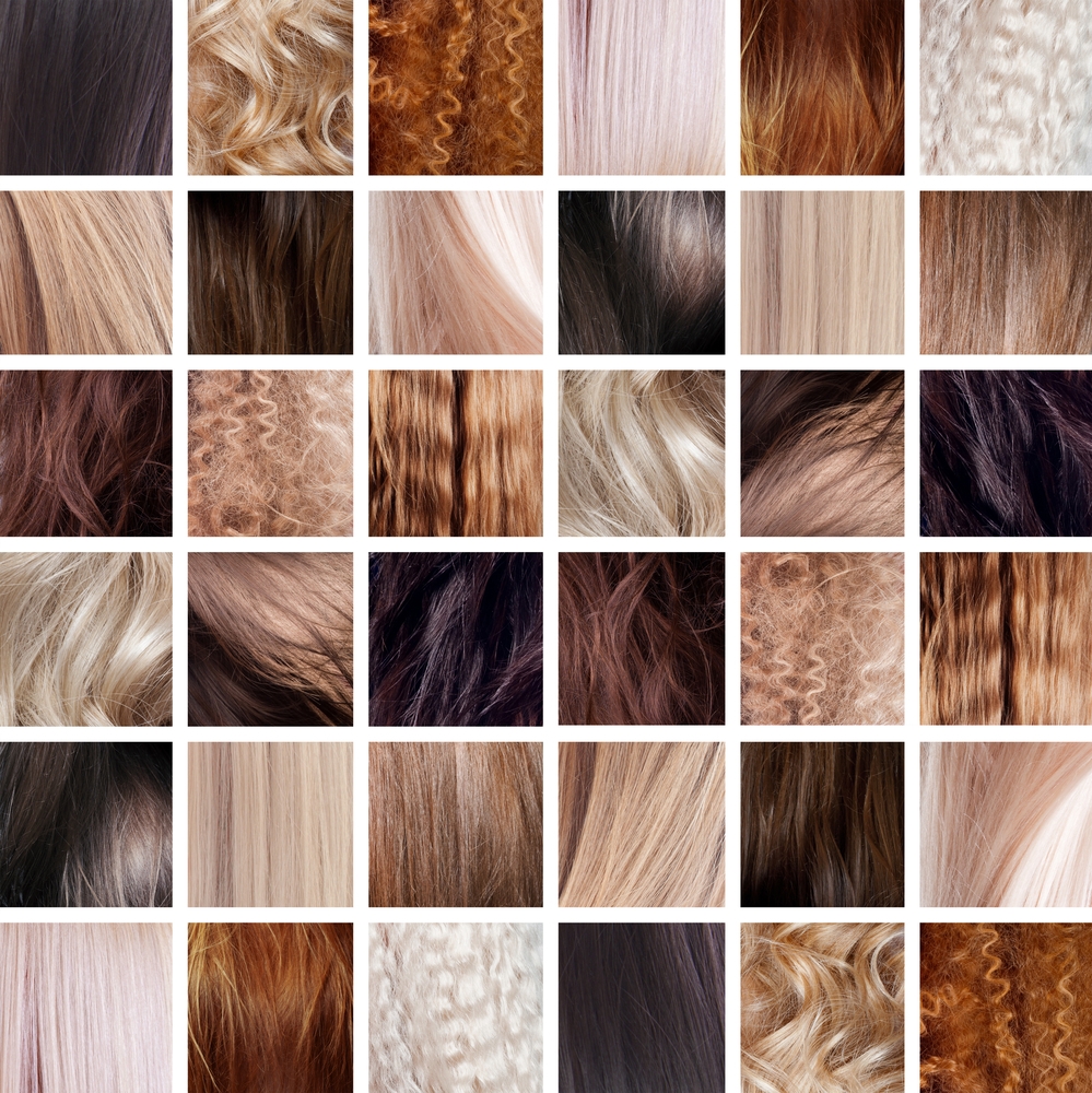 GAMME CHEVEUX