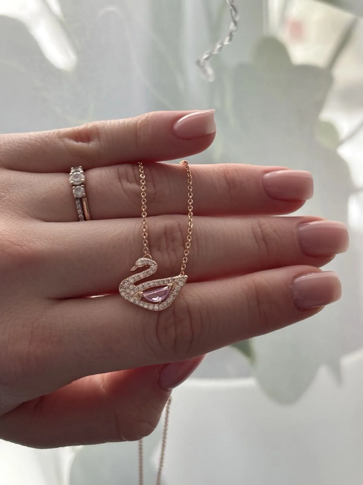 collier swan