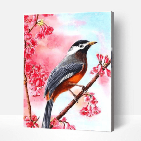 Red Bird- Peinture Par Numéros