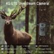 stores/d0e84b6e4ebb329e66996e394bf2de22/products/LsOgXRJCLpvdSTH0QzXEhUnC407Qkdk4JBvv0PgW.jpeg