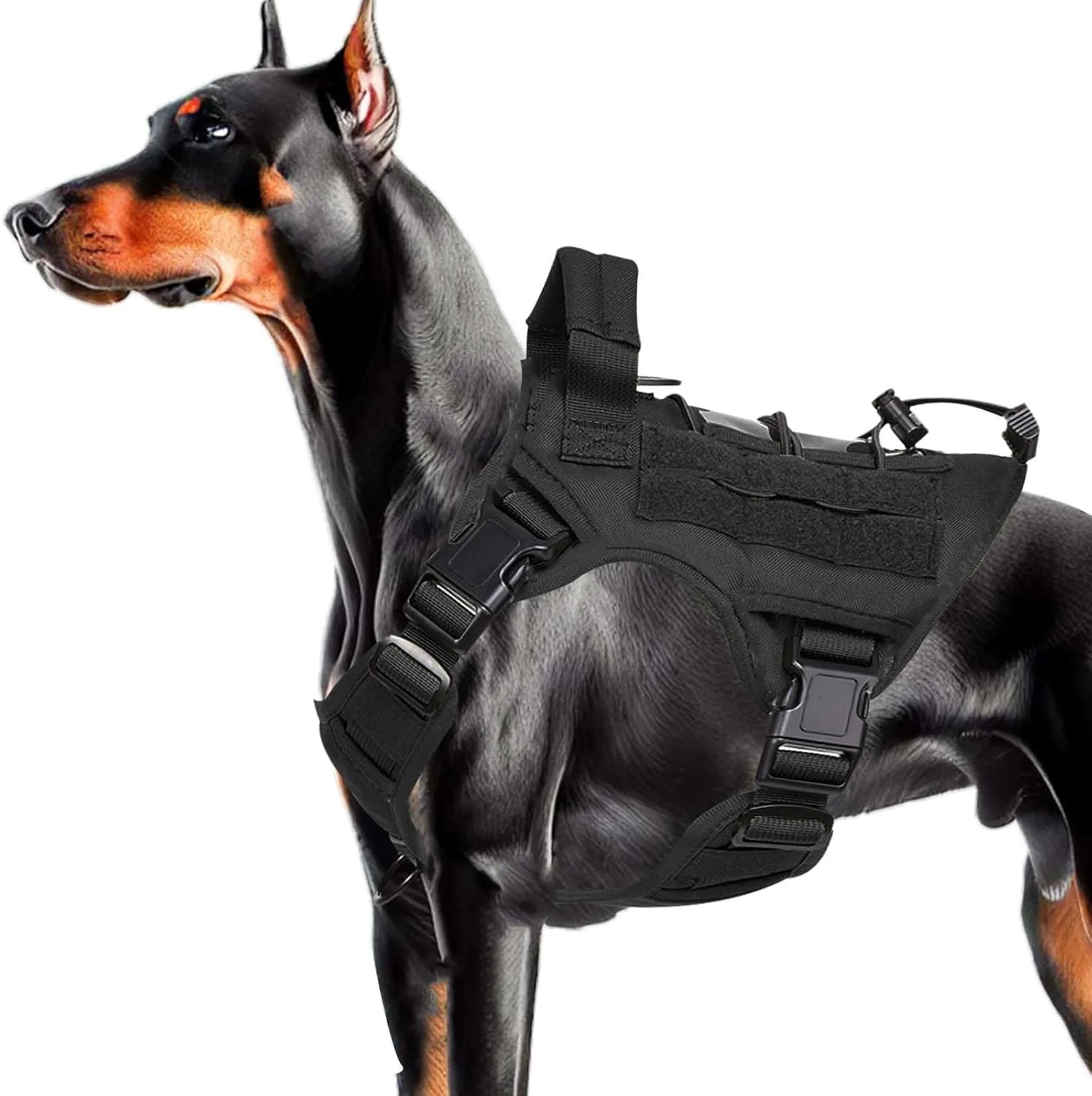 Collier tactique pour chien, harnais réglable pour races moyennes et grandes, gilet pour animaux de compagnie avec conception Anti-traction, harnais Portable pour chien