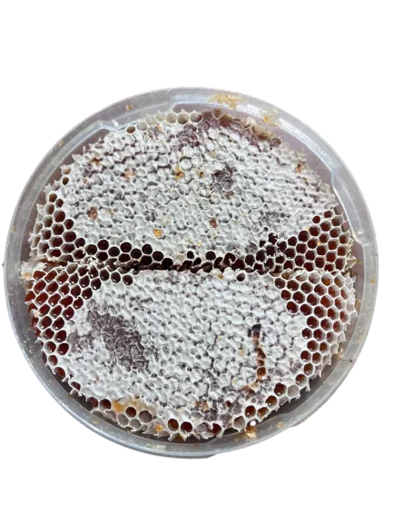 شمع عسل الطلح البلدي الطبيعي 100% — فوائد غذائية وصحية متعددة