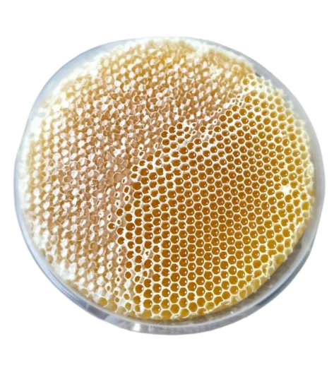 شمع عسل السدر الطبيعي 100% — غذاء صحي وتجميلي متعدد الاستخدامات