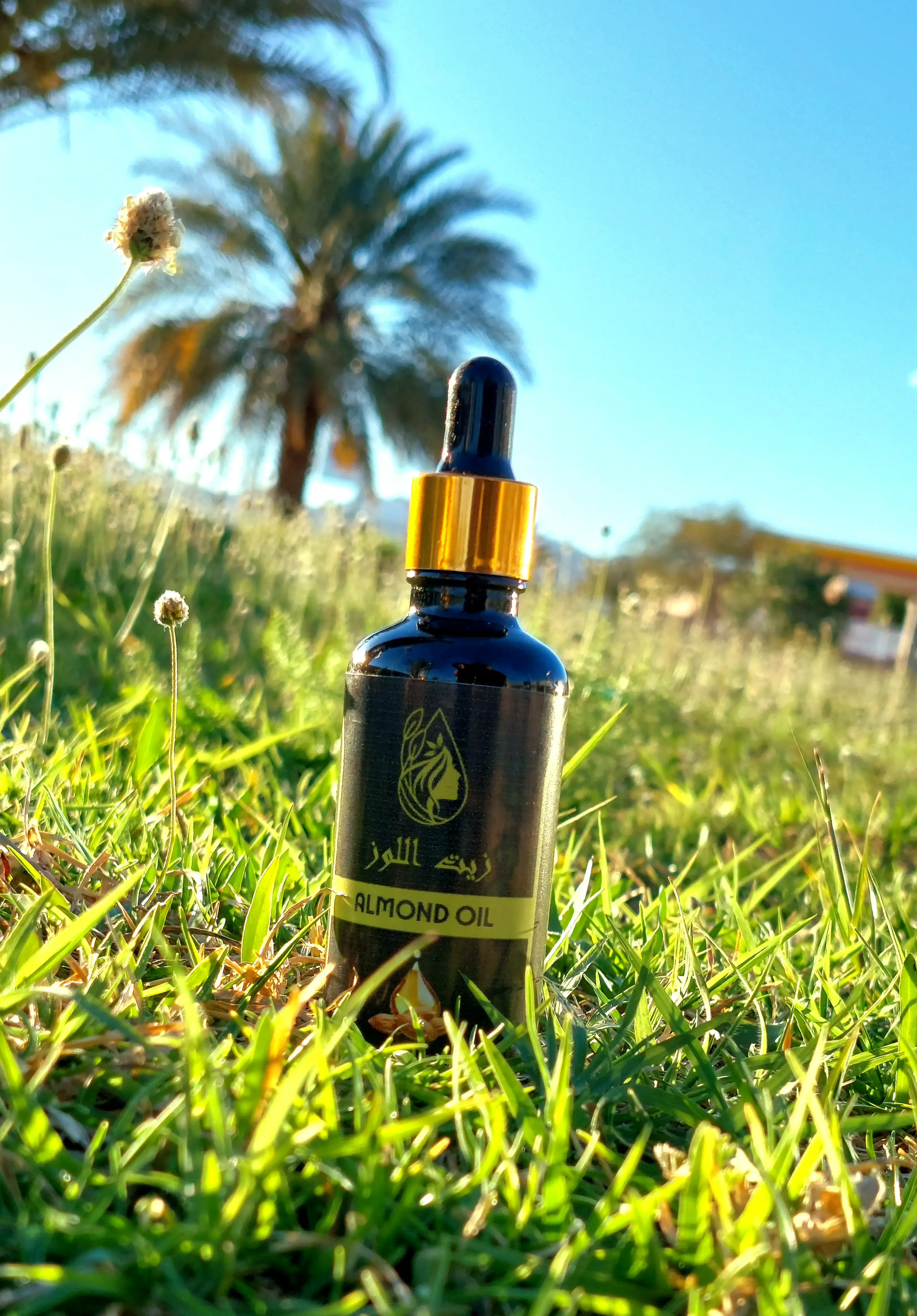 زيت اللوز – Almond Oil 50ml