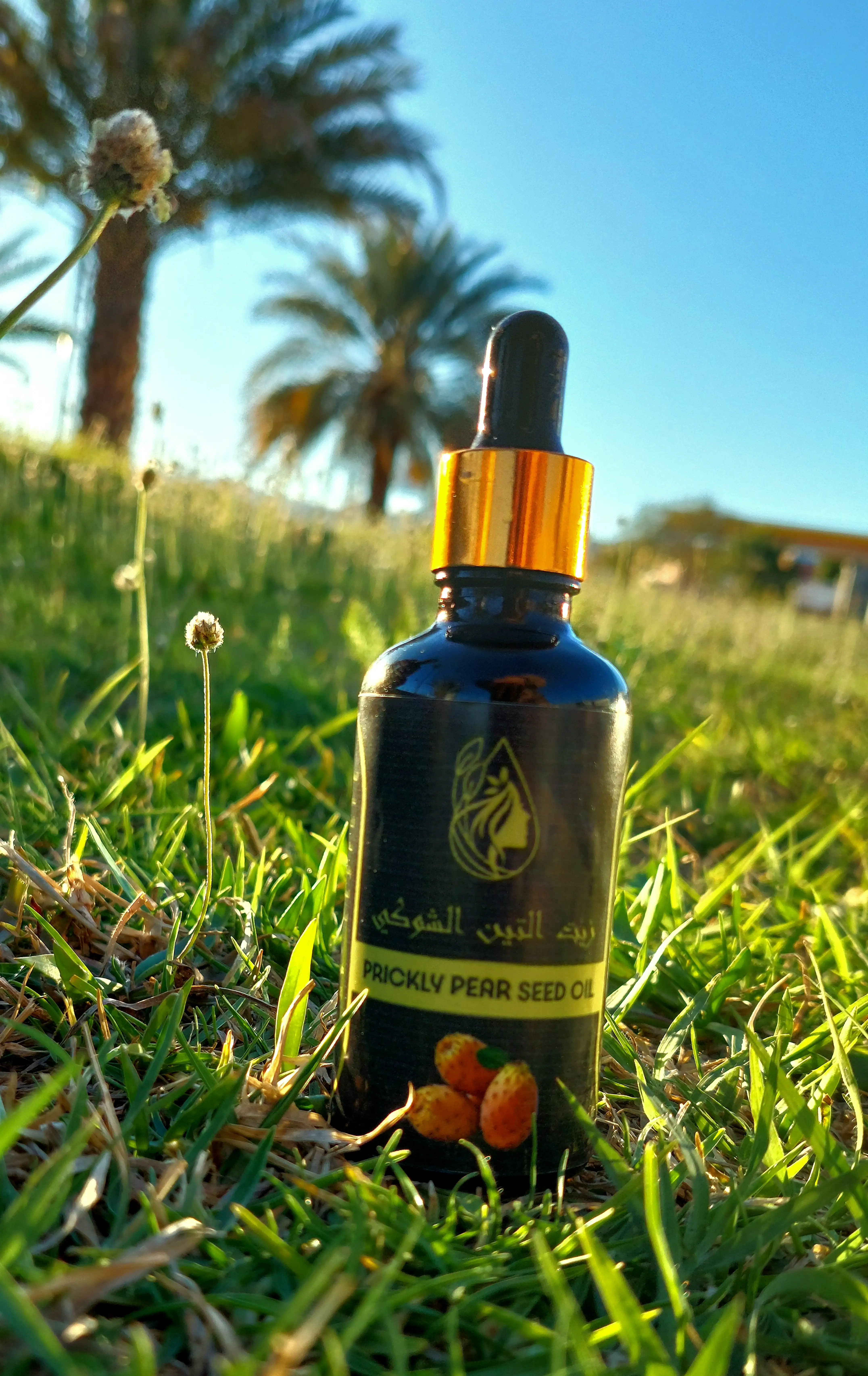 زيت التين الشوكي – Prickly Pear Seed Oil 50ml