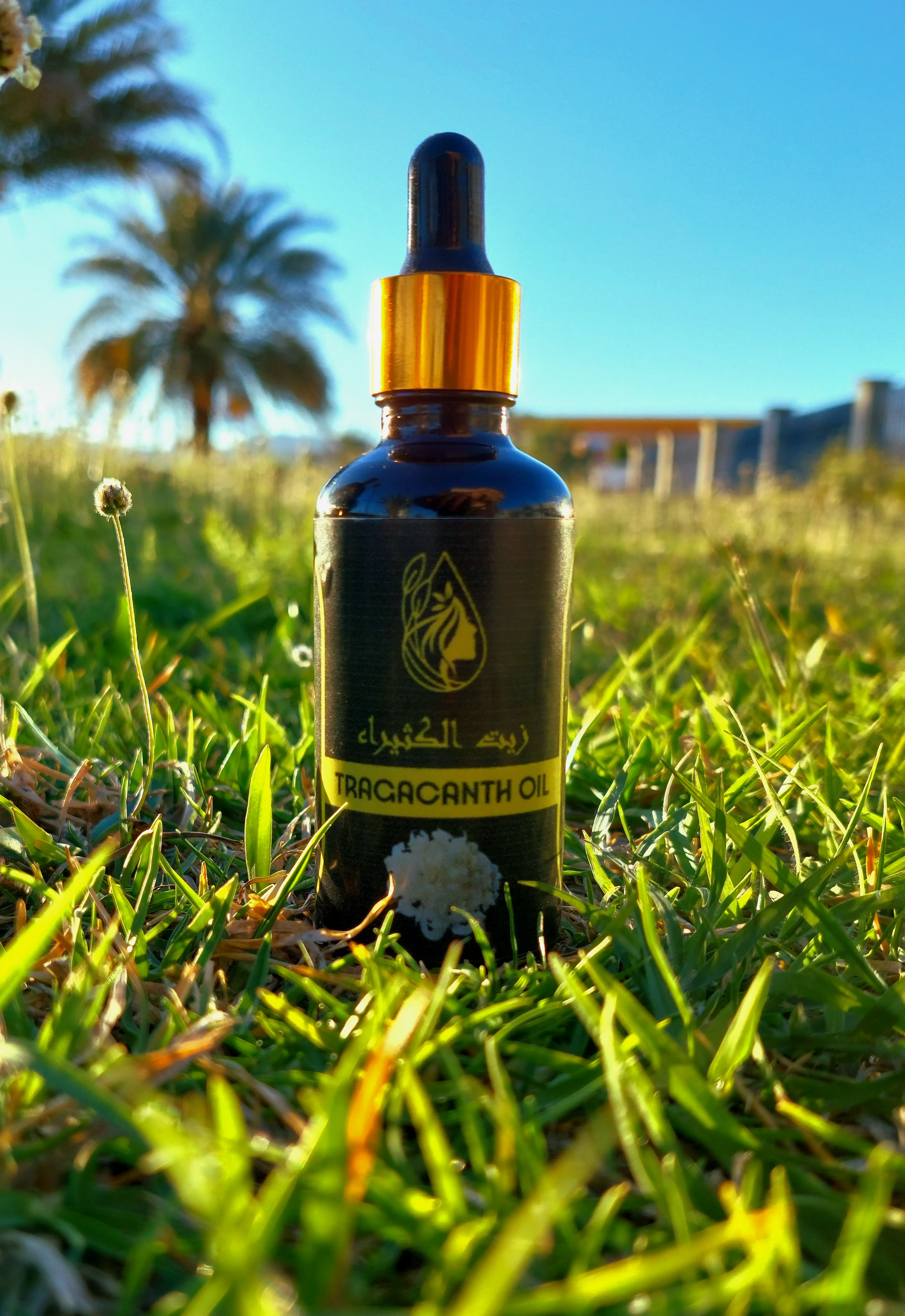زيت الكثيراء – Tragacanth Oil 50ml
