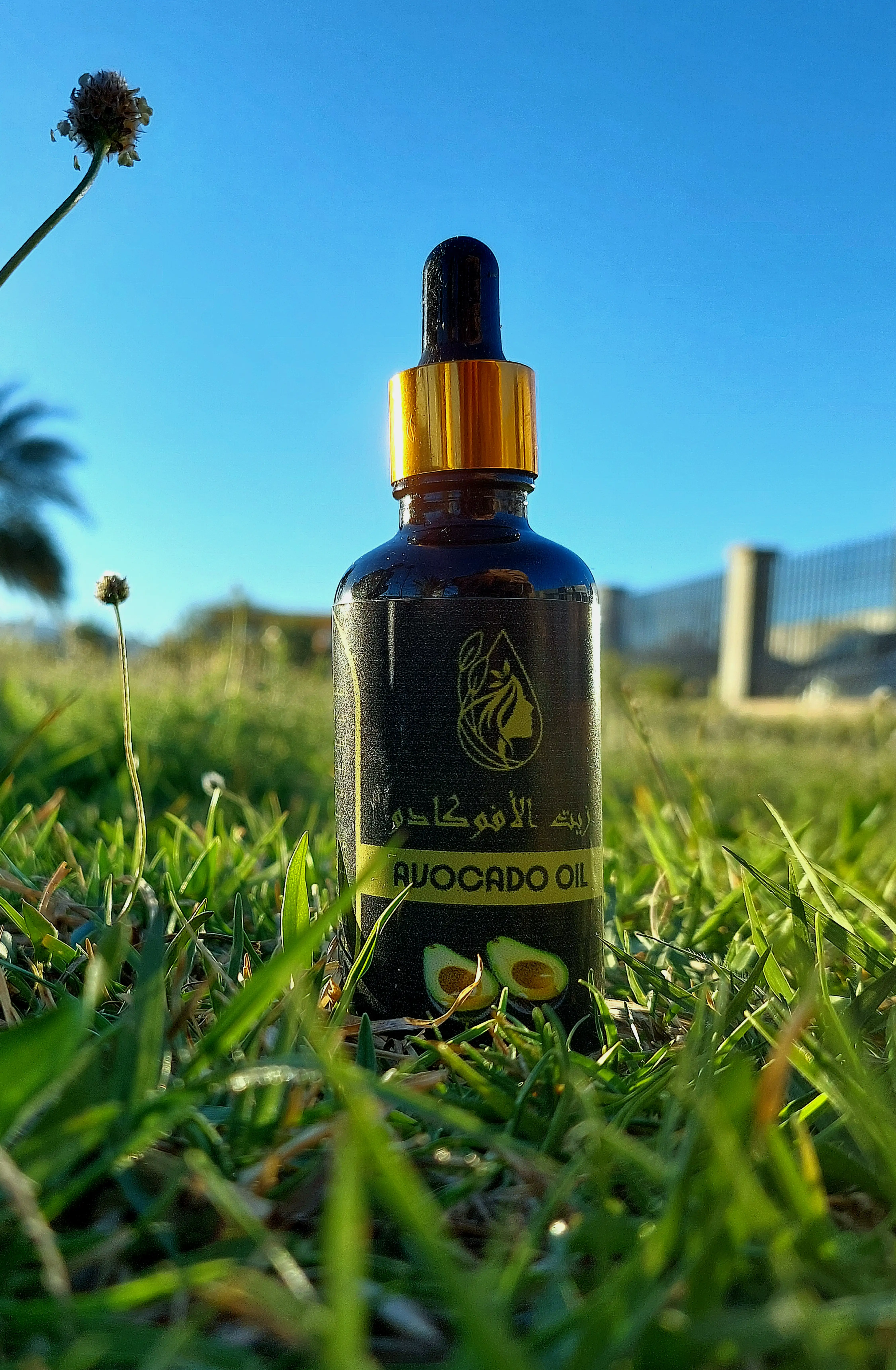 زيت الأفوكادو – Avocado Oil 50ml