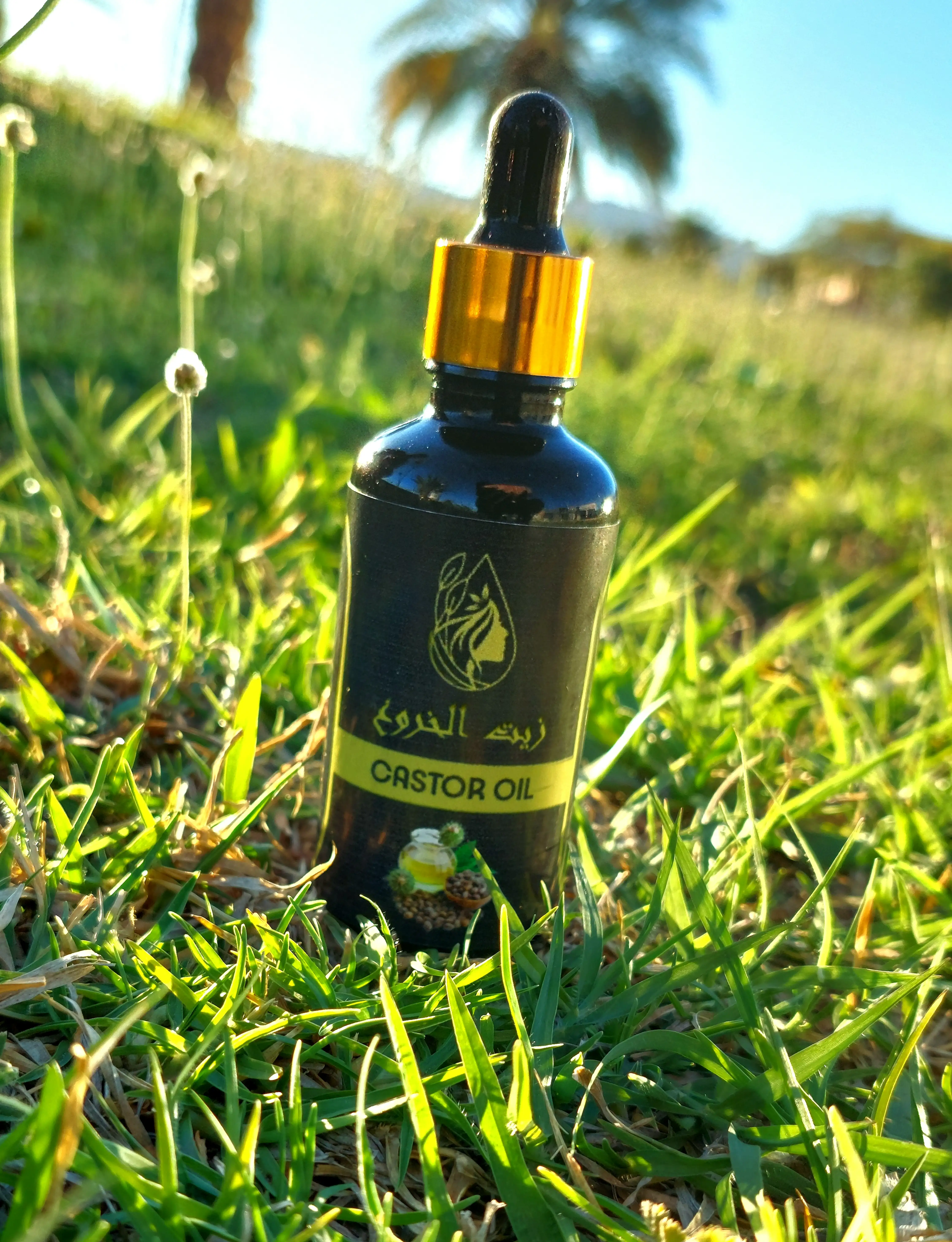 زيت الخروع – Castor Oil 50ml