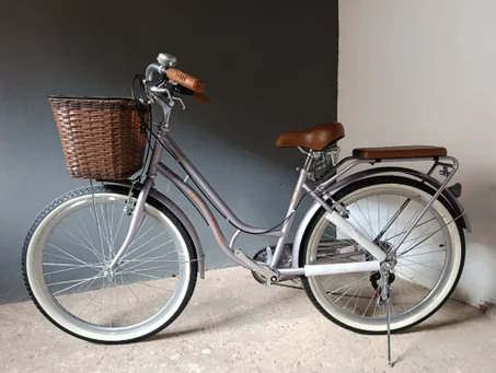 دراجة هوائية كلاسيكي