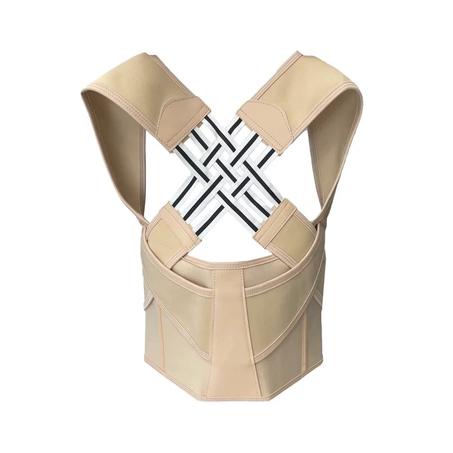 مصحح وضع الظهر