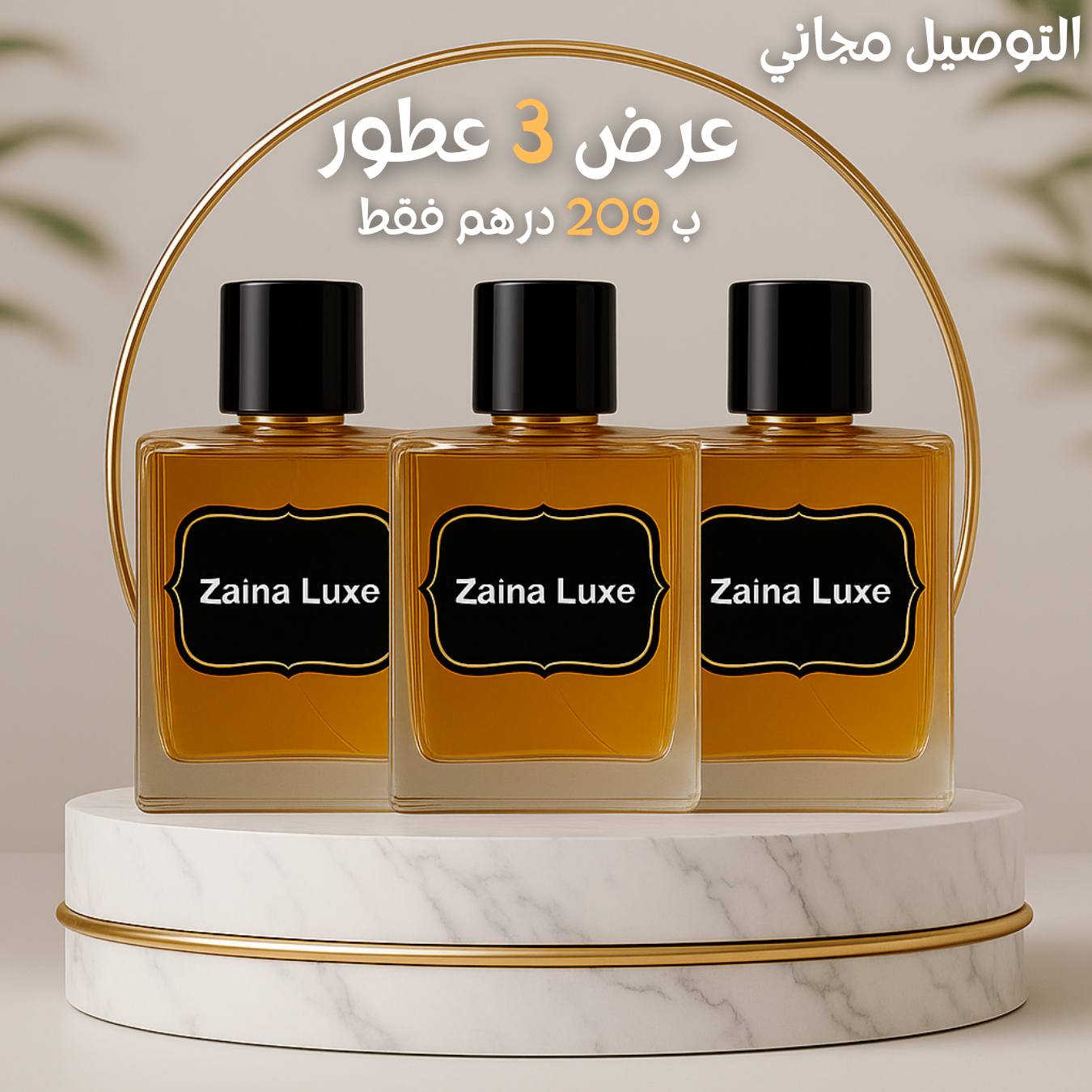 Pack 3 parfums