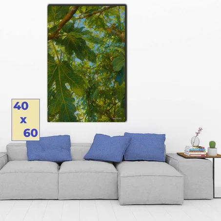 جلسة هادئة في ظلال شجرة التين