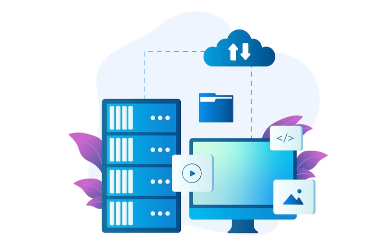 الفئة الافتراضية