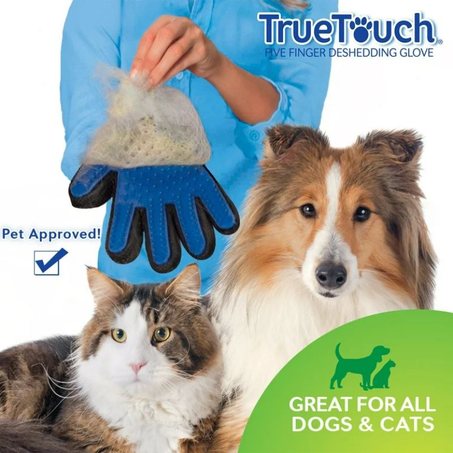 Gant de toilettage pour chat et chien