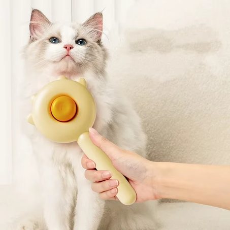 Brosse de Toilettage Pour Chats & Chiens