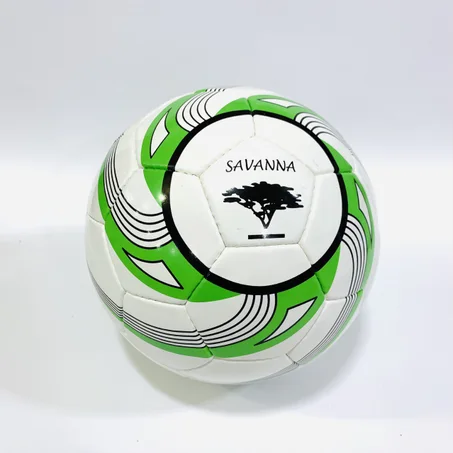 Fútbol pakistaní de Savannah