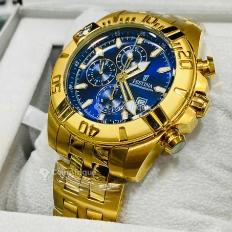 Festina F20492/3 Men's Watch