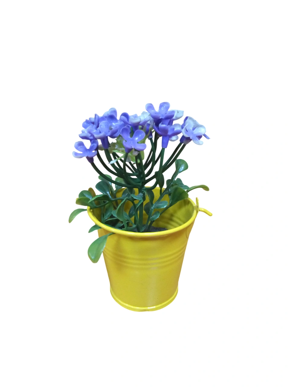 🌸 ديكور أنيق بلمسة طبيعية