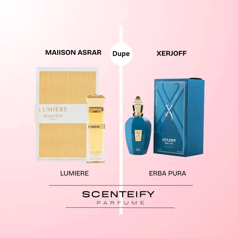 Lumiere - Maison Asrar