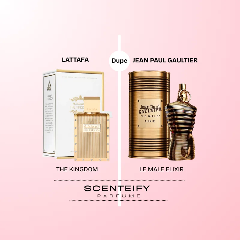 The Kingdom - Lattafa