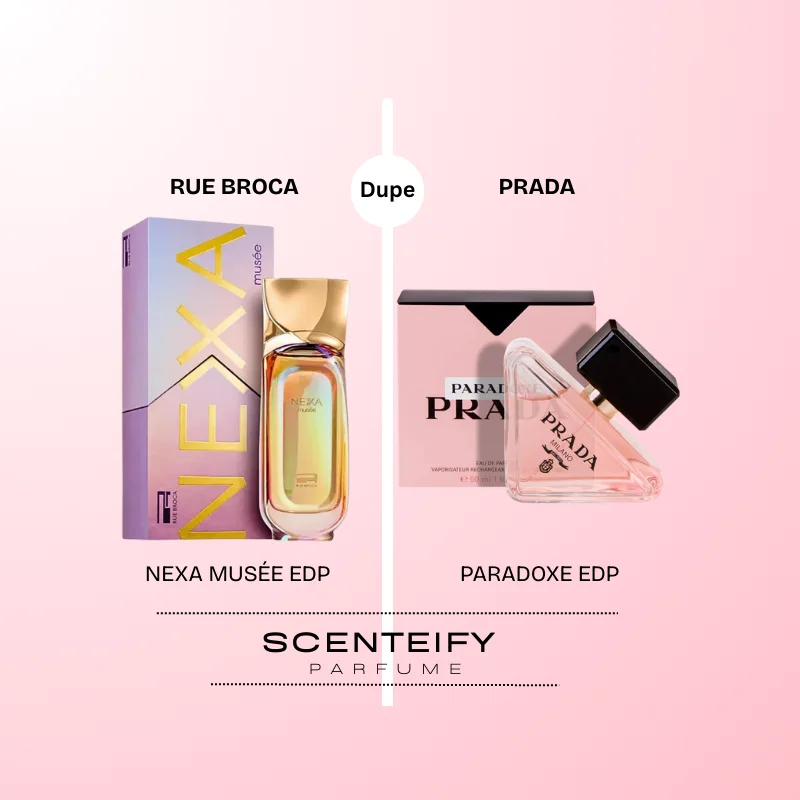 Nexa Musée - Rue Broca