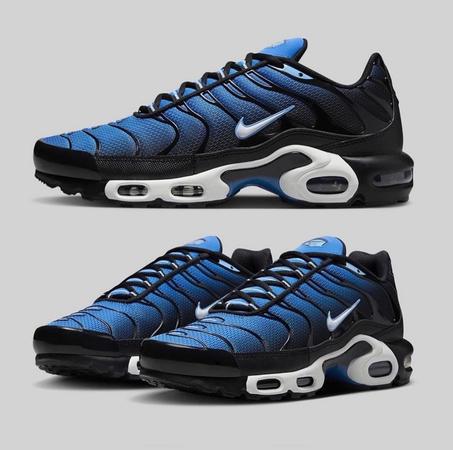 TN Inter