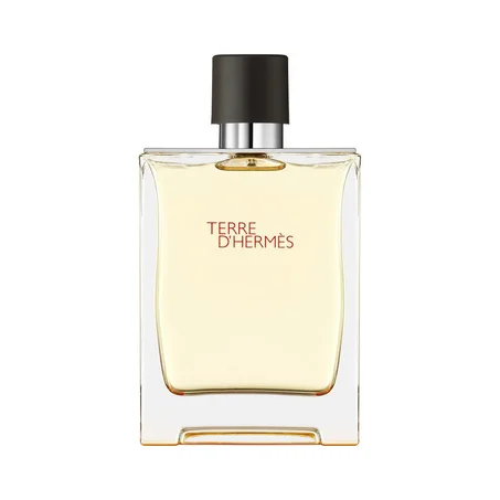 HERMÈS Terre d'Hermès-Eau de Toilette 100ml