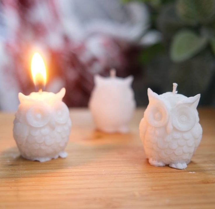 Owlivia