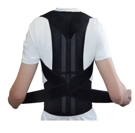 Image Back support belt