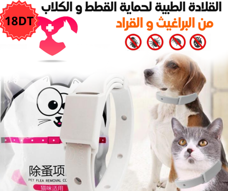 طوق البراغيث الطبي للقطط و الكلاب