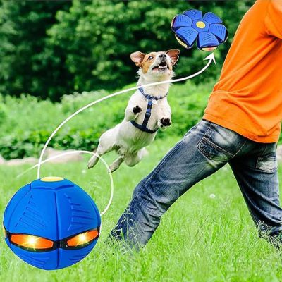 Juguete Volador Interactivo para Perros – Diversión y Aventura al Aire Libre