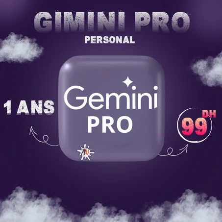 GEMINI PRO personal