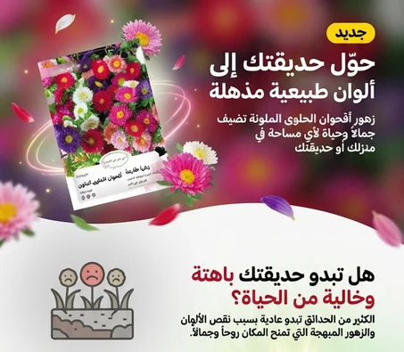 عبوة بذور الزهور البرّية