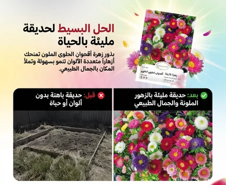 عبوة بذور الزهور البرّية