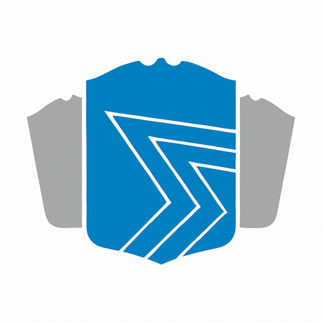 بطاقات اللاعب