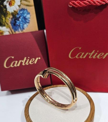 Bracelet femme acier doré,bronze Cartier clou strass double tour avec packaging CARTIER