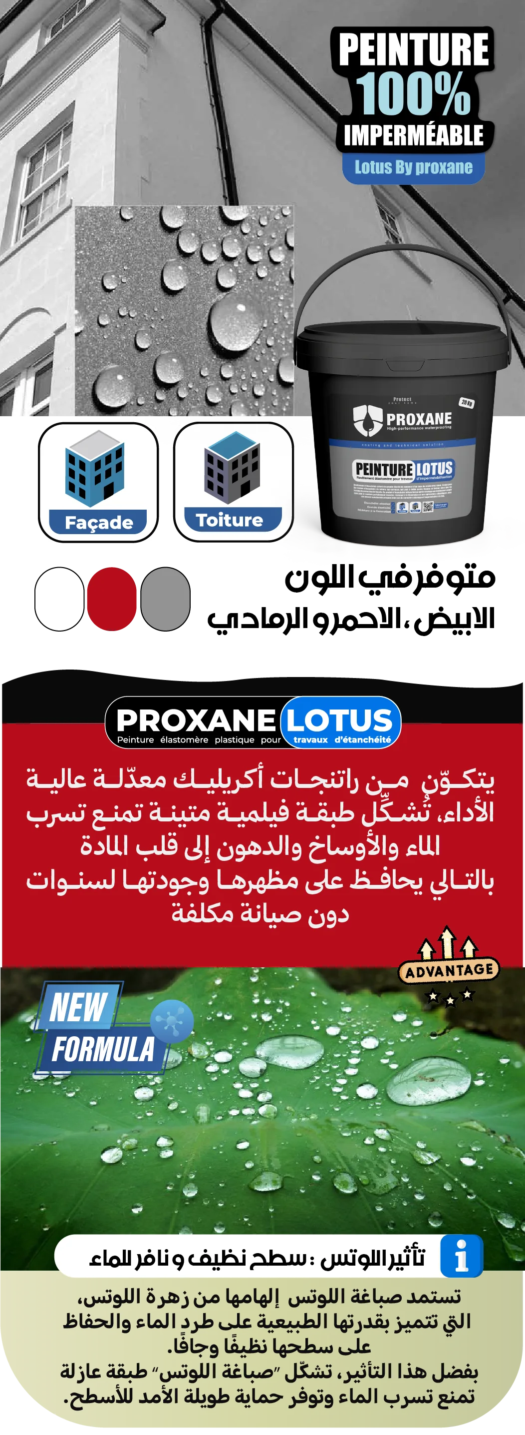 PROXANE LOTUS — يناسب الواجهات والأسطح، 3 ألوان