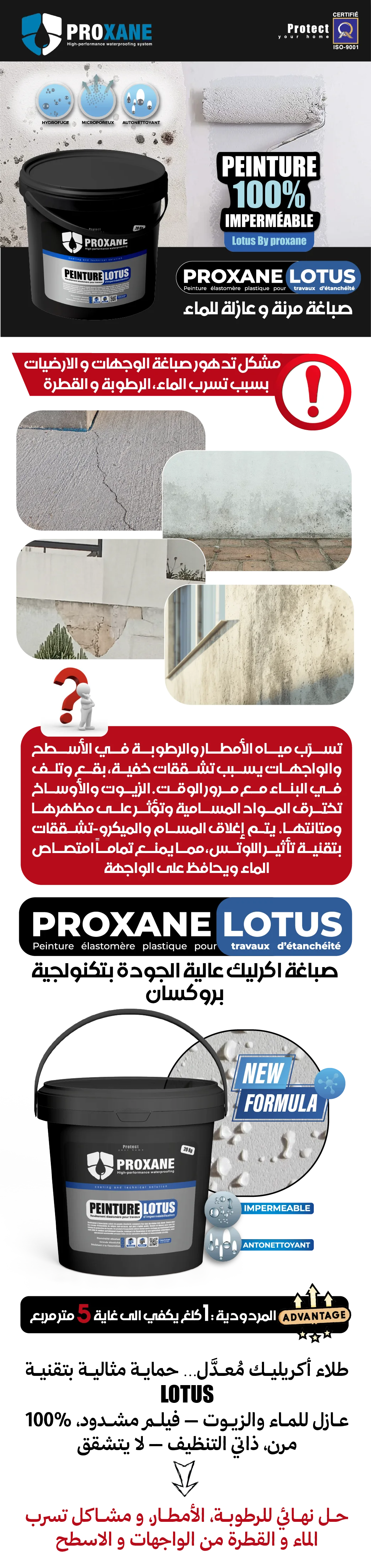 PROXANE LOTUS صباغة عازلة للماء — مشكلة تدهور الواجهات والحل التقني