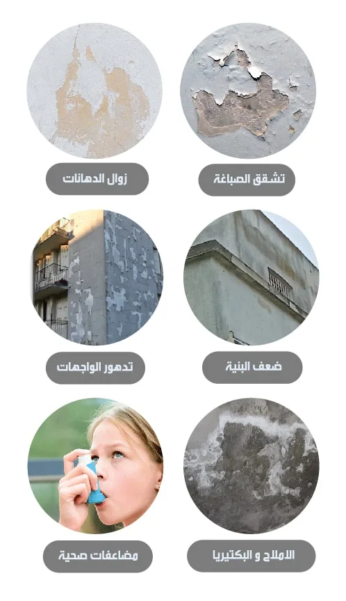 مشاكل الرطوبة الشائعة: زوال الدهانات، تشقق الصباغة، تدهور الواجهات، ضعف البنية، الأملاح والبكتيريا