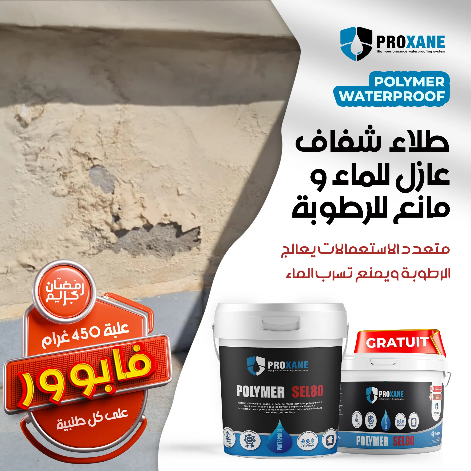 Polymer Waterproof طلاء شفاف عازل للماء