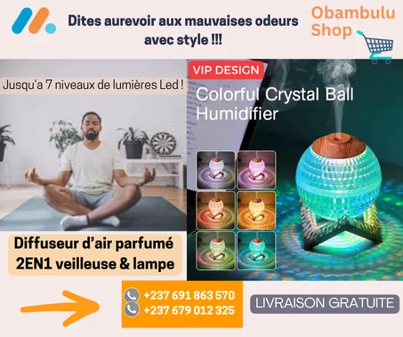 DIFFUSEUR D'AIR PARFUMEE 2EN1, VEILLEUSE & LAMPE