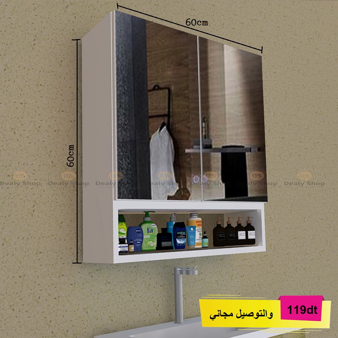 Armoire salle de bain 2 portes avec miroir