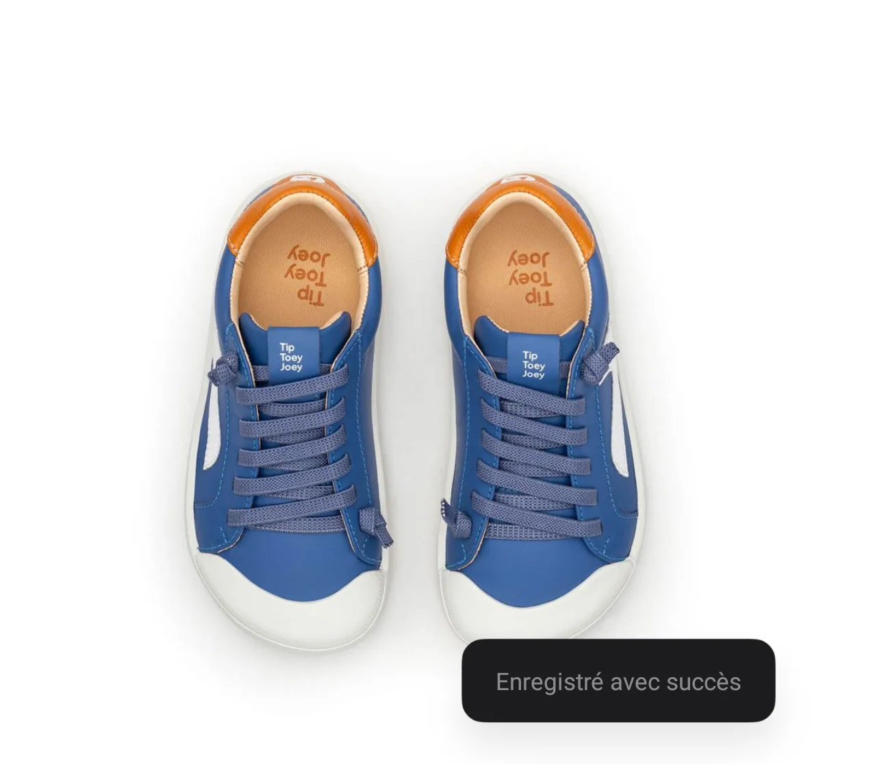 GROUND - BLUE TANG/ WHITE/ TANGERINE